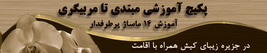 پکیج آموزش ماساژ از مبتدی تا مربیگری